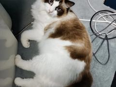 -零纪元VR体验馆·桌游(黄浦店)