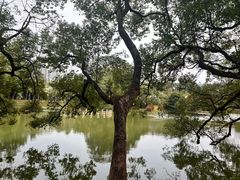 -中国科学院华南植物园