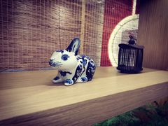 -胥城大厦-胥香自助餐厅