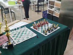 -常青藤国际象棋(新奥店)