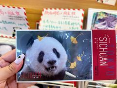-熊猫邮局(少城店)