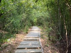 -缙云山景区