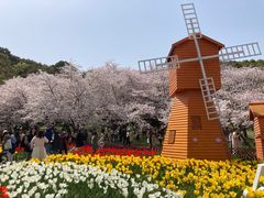 -苏州上方山国家森林公园