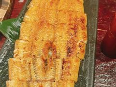 -九州酒场ひこぞう(1号店)