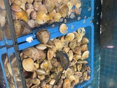 -曼格活海鲜·牛排自助(光明蓝鲸店)