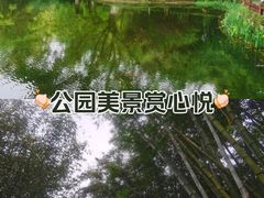 -望江楼公园