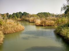 -梁鸿国家湿地公园