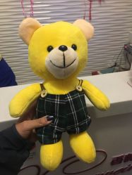 -香薇妮丝·定制减肥·身材管理