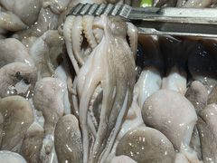 -苏格里岛自助烤肉海鲜火锅(成都金牛万达店)