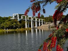 -东莞植物园
