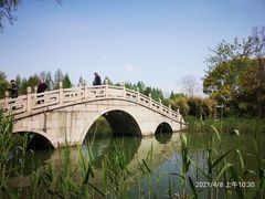 -渤公岛生态公园