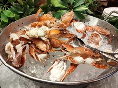 三点蟹-东莞塘厦三正半山温泉酒店·沙利文西餐厅