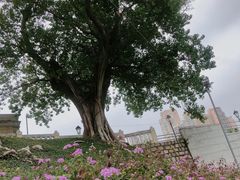 -龙环葡韵住宅式博物馆