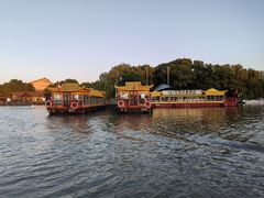 -溱湖国家湿地公园