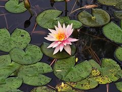 -武汉园博园(武汉自然博物馆)