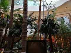 -澳门喜来登大酒店