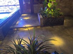 -浅深(北京北四环精品店)
