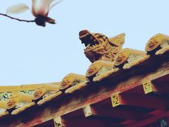 -碑林公园
