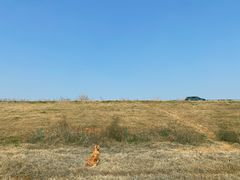 -盘龙城国家考古遗址公园