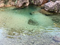 -南海湾森林生态园