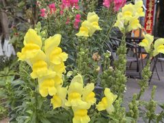 -广州神农草堂中医药博物馆