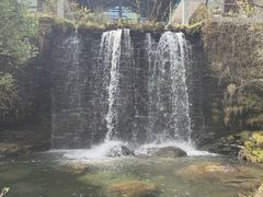 -神农架景区