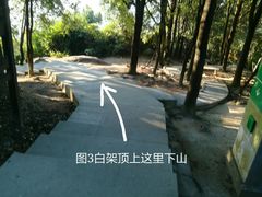 -火炉山森林公园