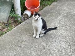 -味香鸭子店(汉口西路店)