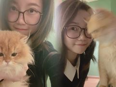 -柯斗斗主题餐厅·狗咖·围炉煮茶·茶饮(国瑞升平里店)