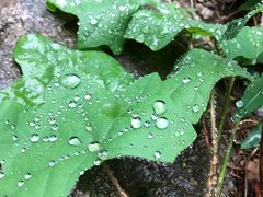 -碓臼峪自然风景区