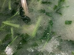 -大碗先生(株洲天虹店)