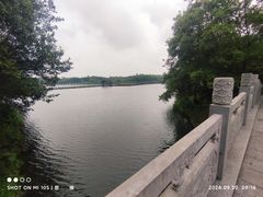 -溱湖国家湿地公园