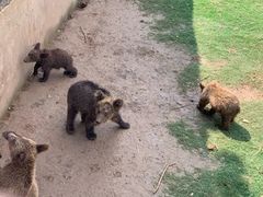 -南京金牛湖风景区