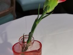 -花样西贡·蜜越餐厅·法式越南料理(水晶城店)