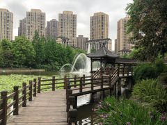 -龙头寺公园