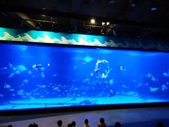 -烟台海昌鲸鲨海洋公园