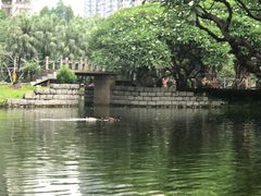 -晓港公园