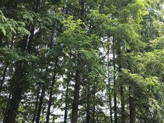 -梁鸿国家湿地公园