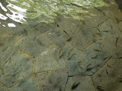 -扬州瘦西湖温泉
