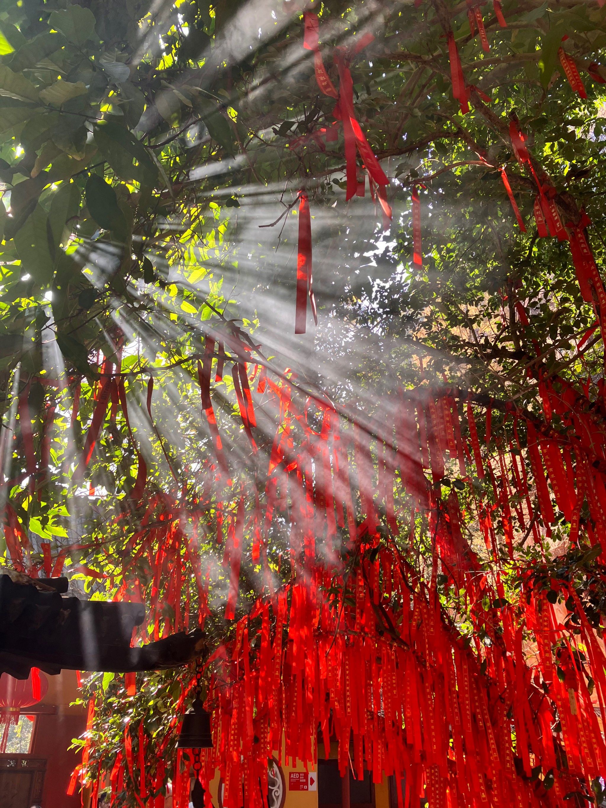 赣州反向游🍃🧧新年祈福,,见者好运