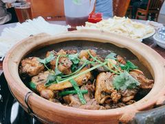 招牌土鸡煲-华仔土鸡店(南洲分店)
