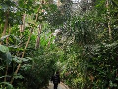 -郑州植物园