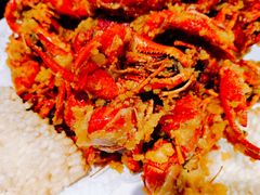 -红盔甲·小龙虾(天钥桥店)
