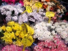 -循礼门鲜花花市(武汉循礼门店)