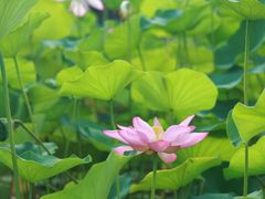 -宁波儿童公园(鄞州区)