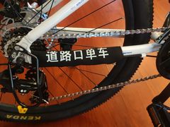 -道路口单车爱瓦士dahon大行