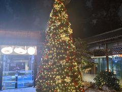 -侨美·唐荔园·40年地道粤菜