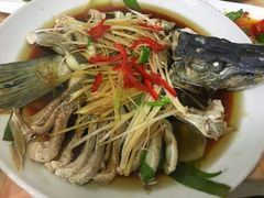 -煲来饱去冷水鱼