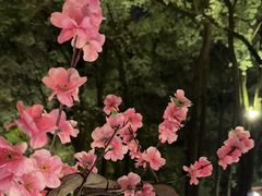 -巴倒烫陆派火锅山庄(南山总店)