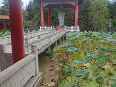 -皇罗禅寺